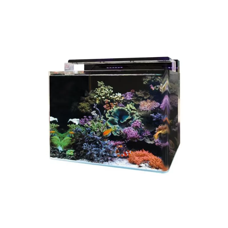 Blue marine reef 120 meubel zwart