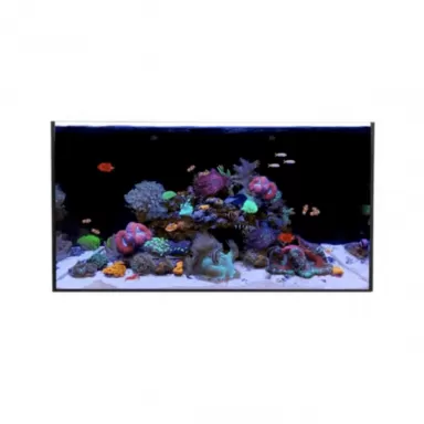 Waterbox AIO 50 3 No Cabinet