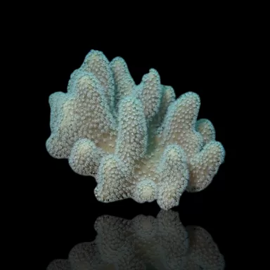 Lederpaket ✔ Einfach online bestellen! ✔ Niedrigster Preis