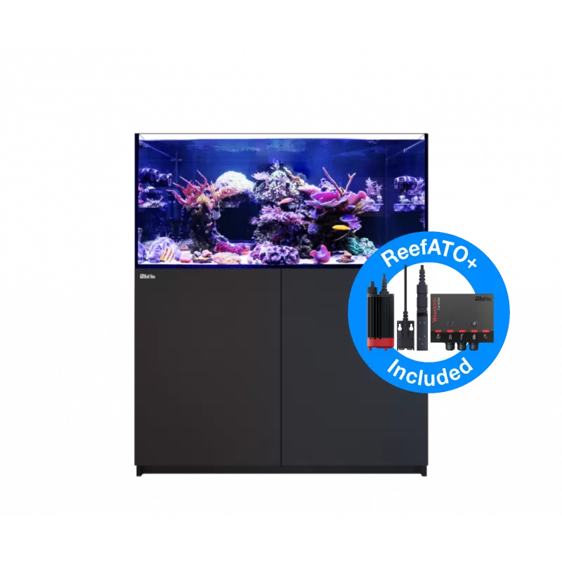 Red Sea REEFER Peninsula G2+ 350 Deluxe – Schwarz kaufen? | Coralland Fischladen