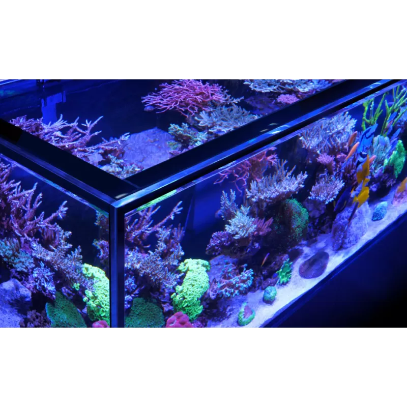 Red Sea REEFER Peninsula G2+ 350 Deluxe - Wit | Coralandfishstore.nl