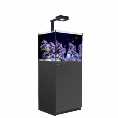 Möchten Sie Red Sea Reefer 170 G2+ Deluxe Black kaufen? | Coralandfishstore.nl