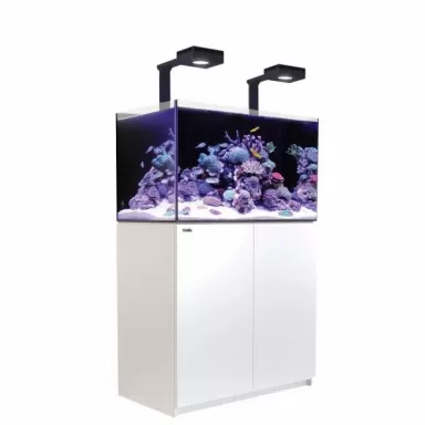 Red Sea Reefer 250 G2+ Deluxe Wit (incl Reefled 90)
