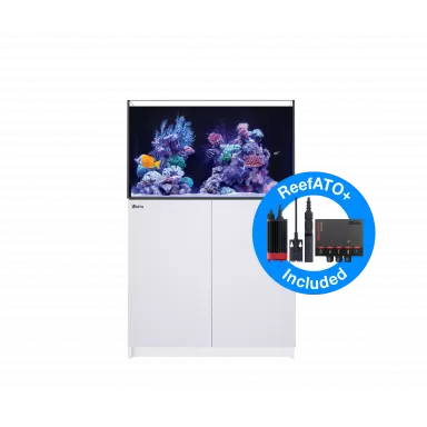 Red Sea Reefer 250 System G2+ Wit kopen | Coralandfishstore.nl