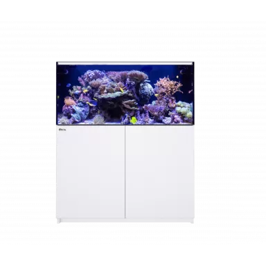 Red Sea Reefer 425 System G2+ Weiß kaufen | Coralandfishstore.nl