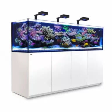 Red Sea Reefer 3XL 900 G2+ Deluxe Wit (ReefLED 160S)