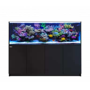 Red Sea REEFER 3XL 900 Deluxe System Black l Coralandfishstore.nl