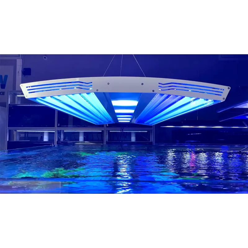 Giesemann Aurora V8 1200mm Pure bestellen ? l Coralandfishstore.nl