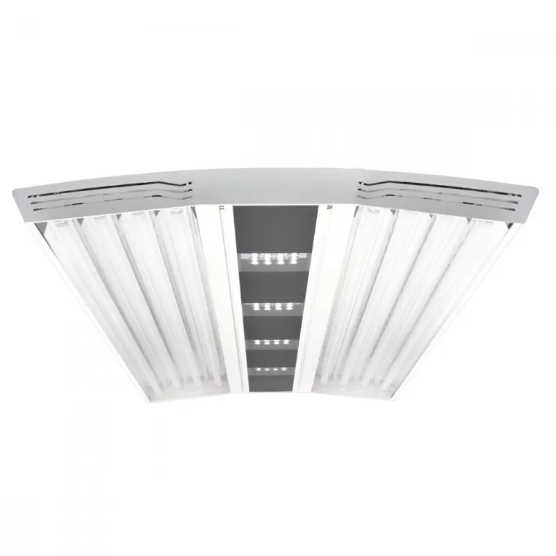 Giesemann Aurora V8 1500mm Pure bestellen? l Coralandfishstore.nl