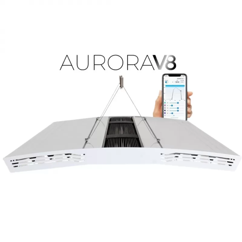 Giesemann Aurora V8 1500mm Irridium bestellen? l Coralandfishstore.nl