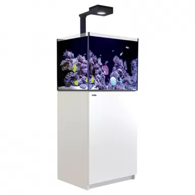 Red Sea REEFER MAX 170 G2+ Komplettsystem | Corallandfishstore