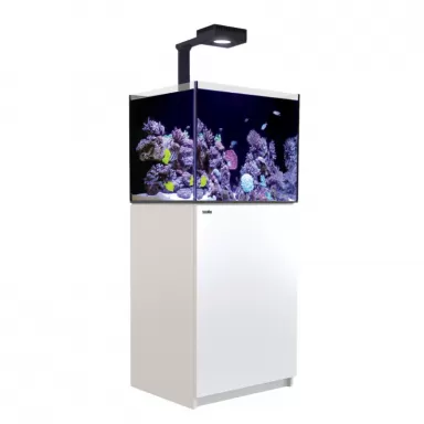 Red Sea REEFER MAX 200 G2+ Komplettsystem | Corallandfishstore