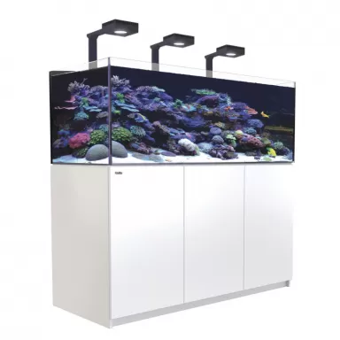Red Sea REEFER MAX 525 G2+ Komplettsystem | Corallandfishstore