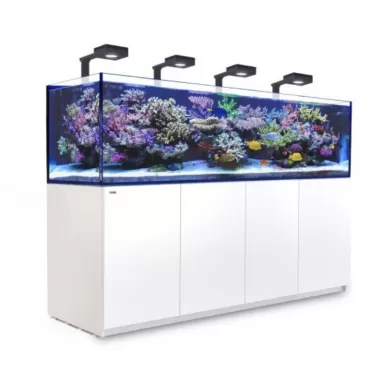 Red Sea REEFER MAX S-1000 G2+ Komplettsystem | Corallandfishstore