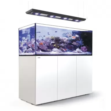 Reefer MAX Peninsula S-950 G2+ - White