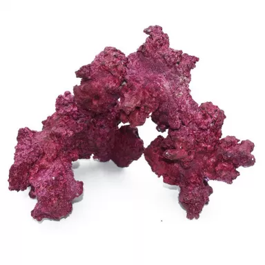 Real Reef Arches kopen | Coralandfishstore.nl