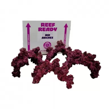 Kaufen Sie echte Riffbögen | Coralandfishstore.nl