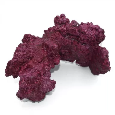 Real Reef Arches - 4 stuks per box