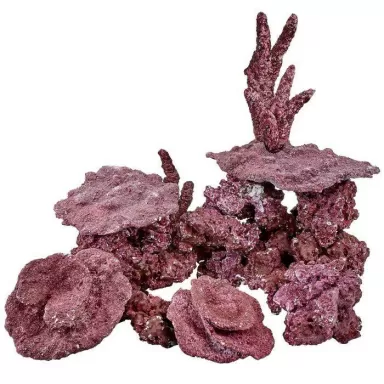 Real Reef Ready Mix - Mini Reef box 9kg kopen | Coralandfishstore.nl