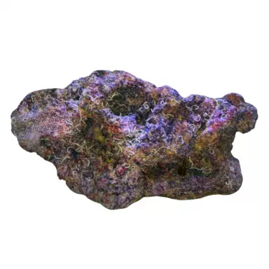 Möchten Sie DRR Cultured Mixed Base Live Rock Law kaufen? Coralandfishstore.nl