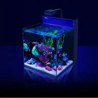 Red Sea MAX NANO G2 XL excl. meubel kopen? | Coralandfishstore