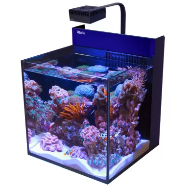 Möchten Sie Red Sea MAX NANO G2 Cube kaufen? | Corallandfishstore