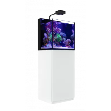 Red Sea MAX NANO G2 Cube kopen? | Coralandfishstore