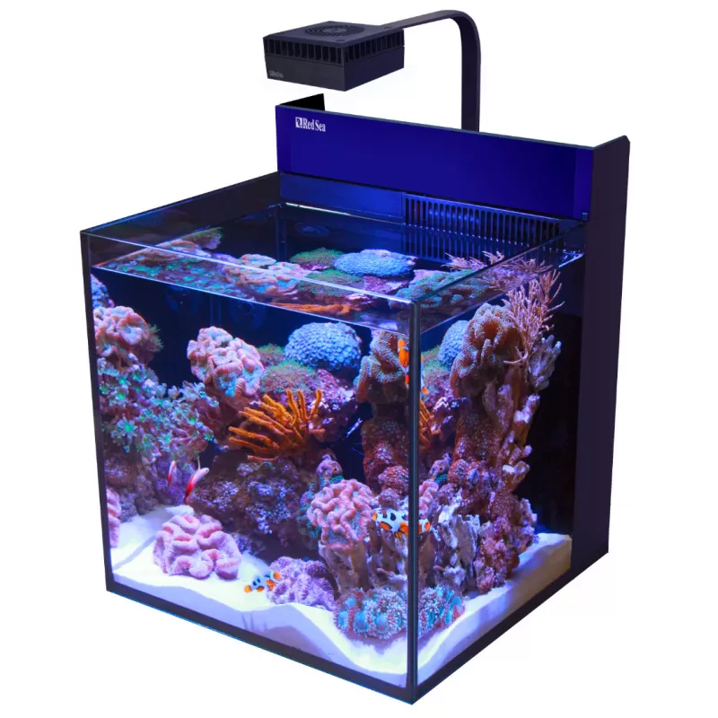 Möchten Sie Red Sea MAX NANO G2 Cube kaufen? | Corallandfishstore