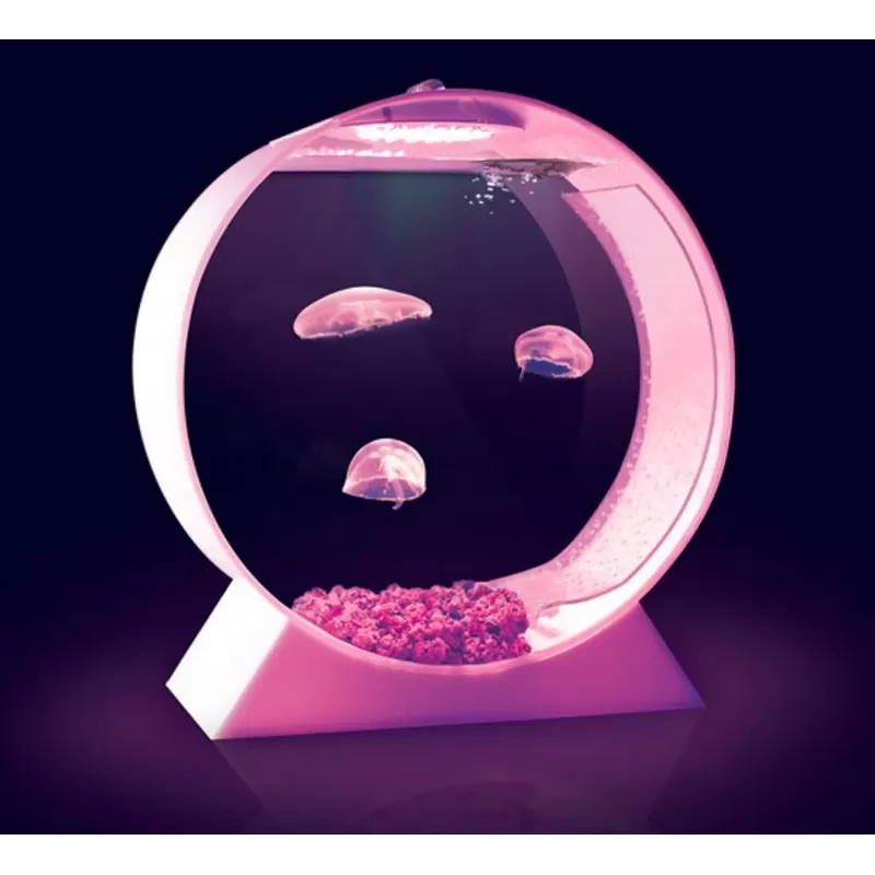 Desktop Jellyfish Tank - kwallen Aquarium bestellen ? l Coralandfishstore.nl