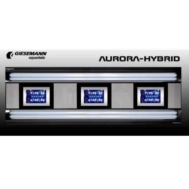Giesemann Aurora  Hybrid 600