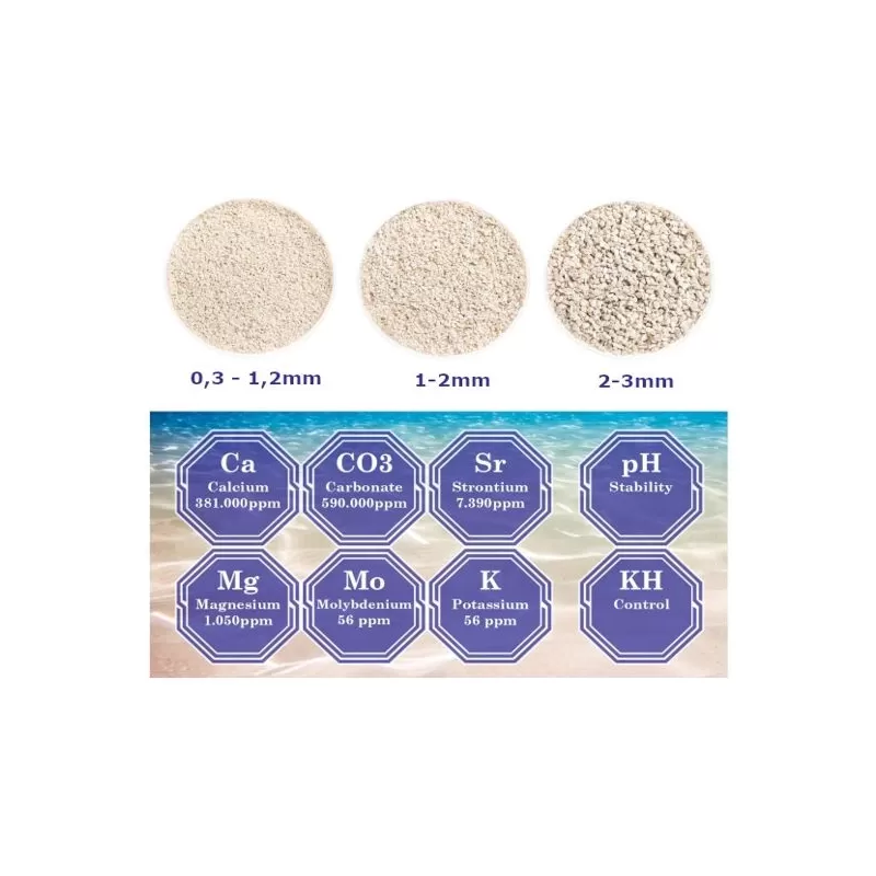 Möchten Sie DVH Aragonit-Natursand 9 kg 2-3 mm kaufen? | Coralandfishstore.nl