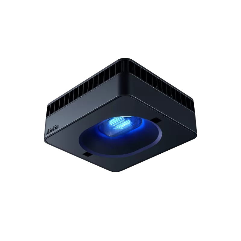 Red Sea Reefer 525 G2+ Deluxe Zwart kopen? | Coralandfishstore