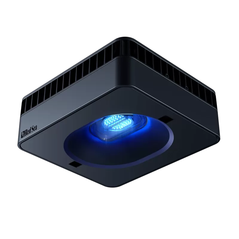 Red Sea Reefer 525 G2+ Deluxe Wit bestellen ? l Coralandfishstore.nl