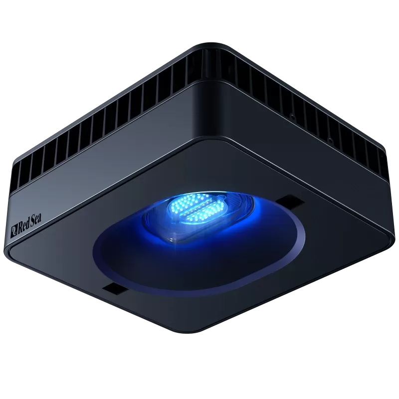 Red Sea REEFER S-700 G2+ Deluxe - Zwart incl LED | Coralandfishstore.nl