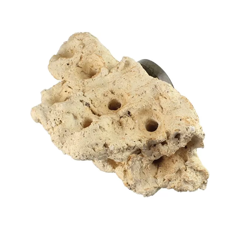 Tunze Coral Rack Nano