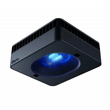 Red Sea REEFER™ MAX S-700 G2+ weiß bestellen? l Coralandfishstore.nl