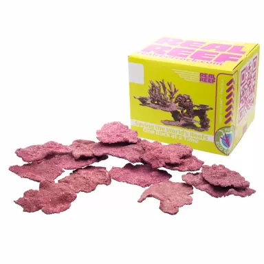 Real Reef Mini Shelf Rock - 15pcs kopen? | Coralandfishstore.nl