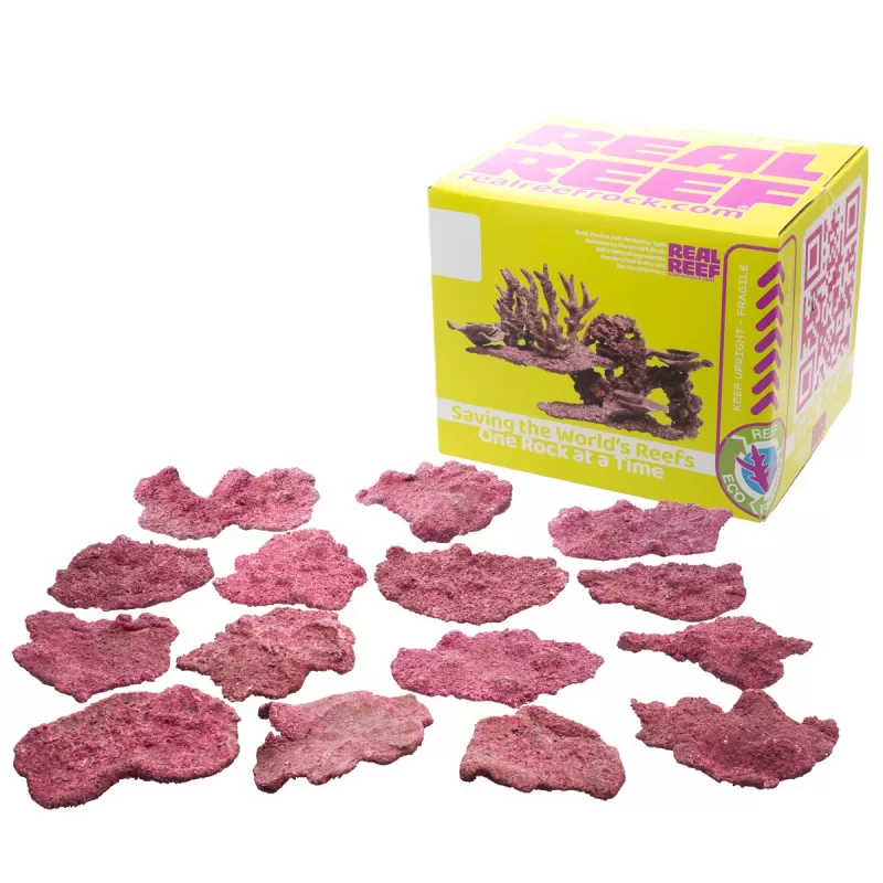 Möchten Sie Real Reef Mini Shelf Rock – 15 Stück kaufen? | Coralandfishstore.nl
