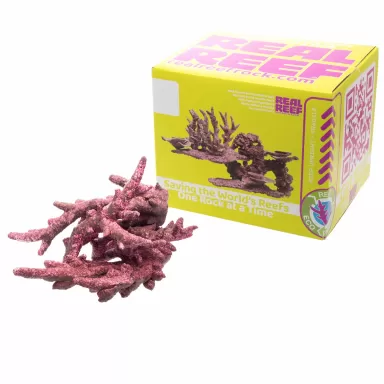 Möchten Sie Real Reef Fancy Branch Rock kaufen? Coralandfishstore.nl