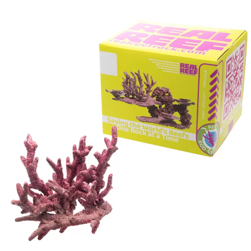 Real Reef Fancy Branch Rock kopen? | Coralandfishstore.nl