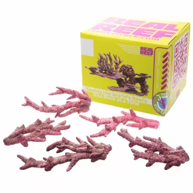 Möchten Sie Real Reef Fancy Branch Rock kaufen? | Coralandfishstore.nl
