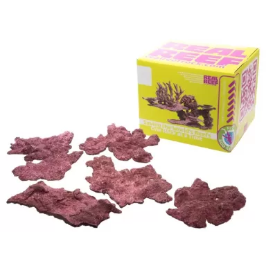 Möchten Sie echtes Riff-Schelfgestein kaufen? Coralandfishstore.nl