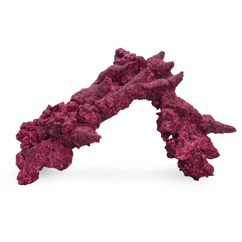 Real Reef Arches - Large 4pcs kopen? Coralandfishstore.nl
