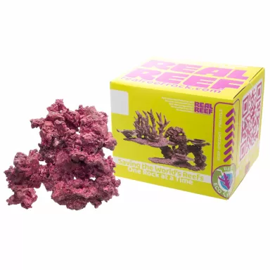 Real Reef Arches - Nano 6 Stück kaufen? Coralandfishstore.nl