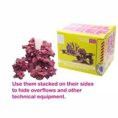 Real Reef Arches - Nano 6 stuks kopen ? Coralandfishstore.nl