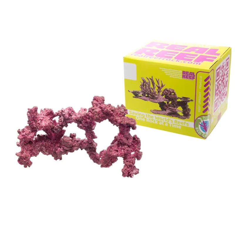 Real Reef Arches - Nano 6 Stück kaufen? Coralandfishstore.nl