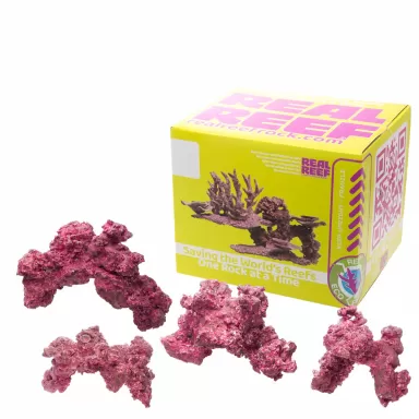 Real Reef Arches - Medium 4pcs