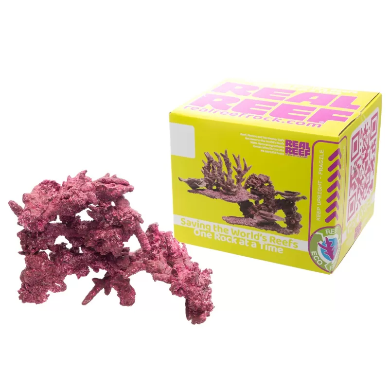 Real Reef Fancy Arches – 4 Stück kaufen? | Coralandfishstore.nl