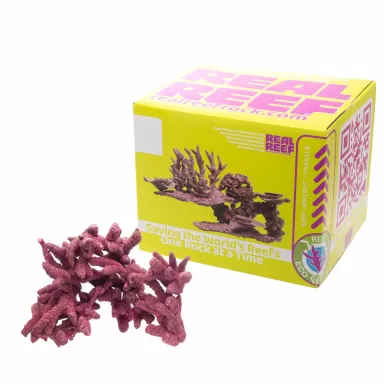 Real Reef Mini Branched Rock kopen? | Coralandfishstore.nl