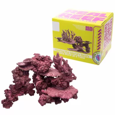 Real Reef Mini Mix - 9-10 stuks kopen? | Coralandfishstore.nl